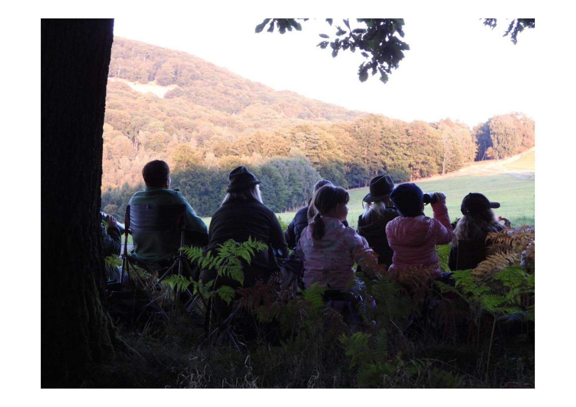 Foto dětí z pozorování jelenů